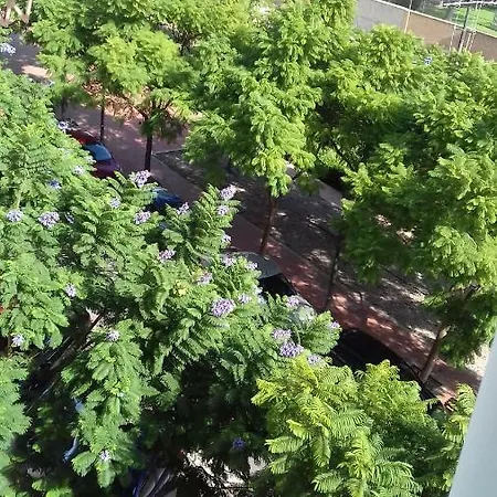 דירה On Carrer Del Dr. Lluch