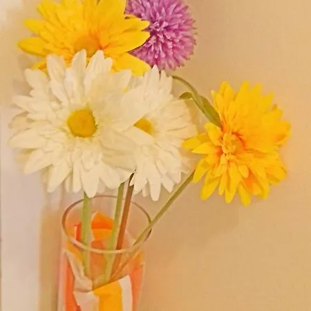 On Carrer Del Dr. Lluch דירה *